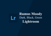 Rumus Lightroom Moody Dark, Black, Green