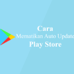Cara Mudah Mematikan Auto Update di Google Play Store